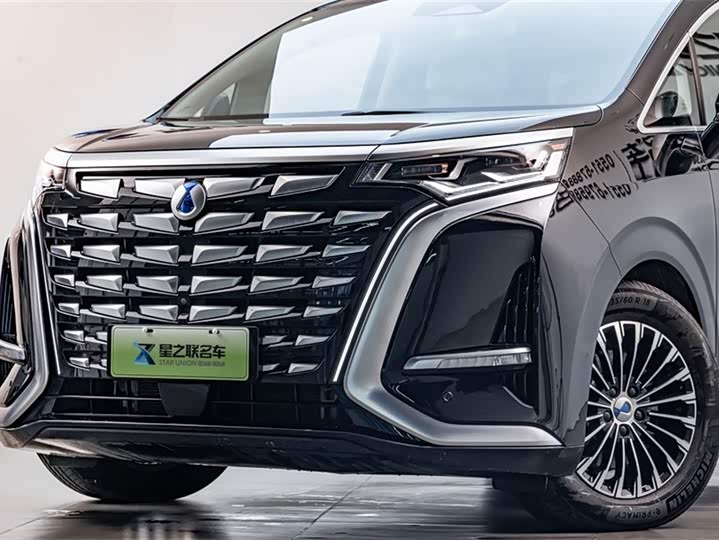 Фото 3 - Denza D9