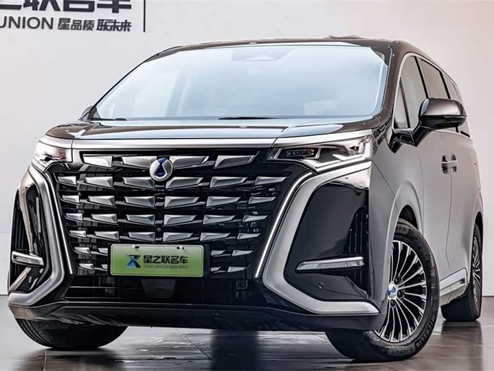 Фото 4 - Denza D9