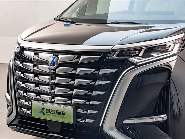 Фото 5 - Denza D9