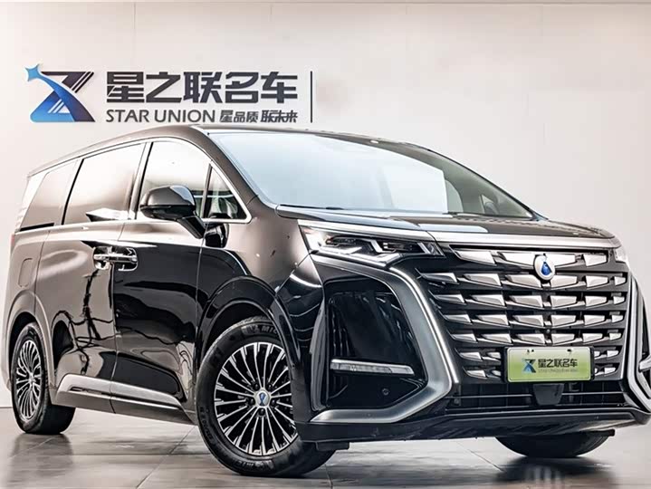 Фото 6 - Denza D9