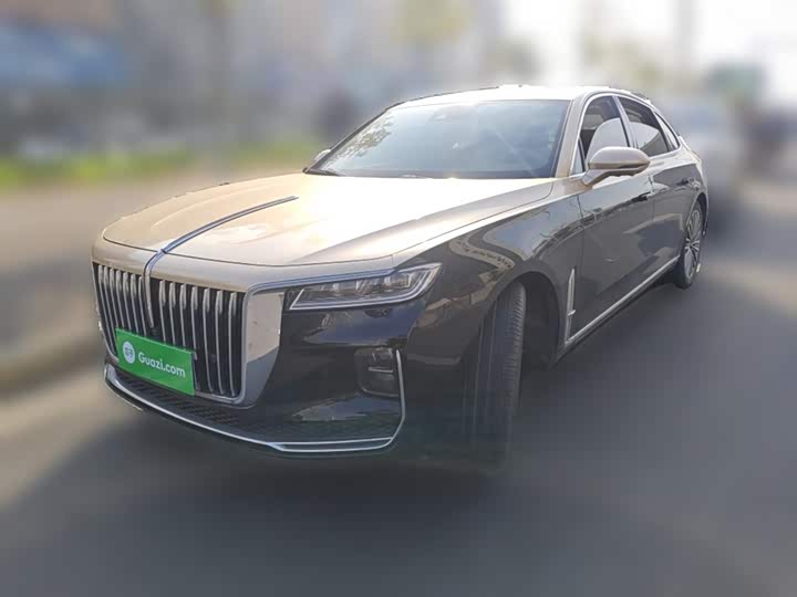 Фото 2 - Hongqi H9