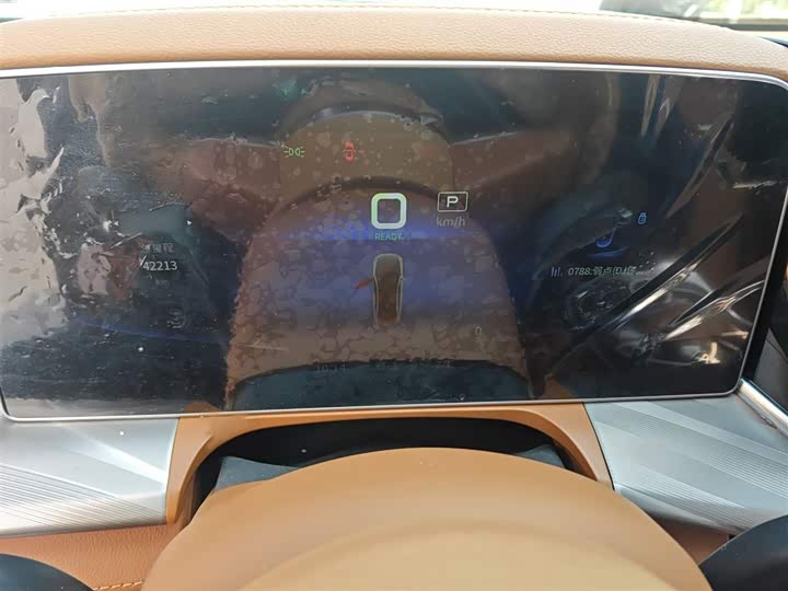 Фото 4 - Hongqi H9