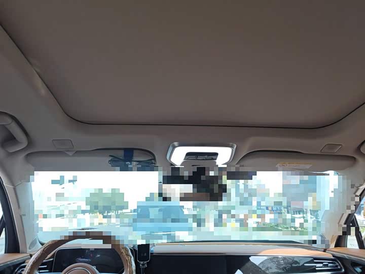 Фото 9 - Hongqi H9