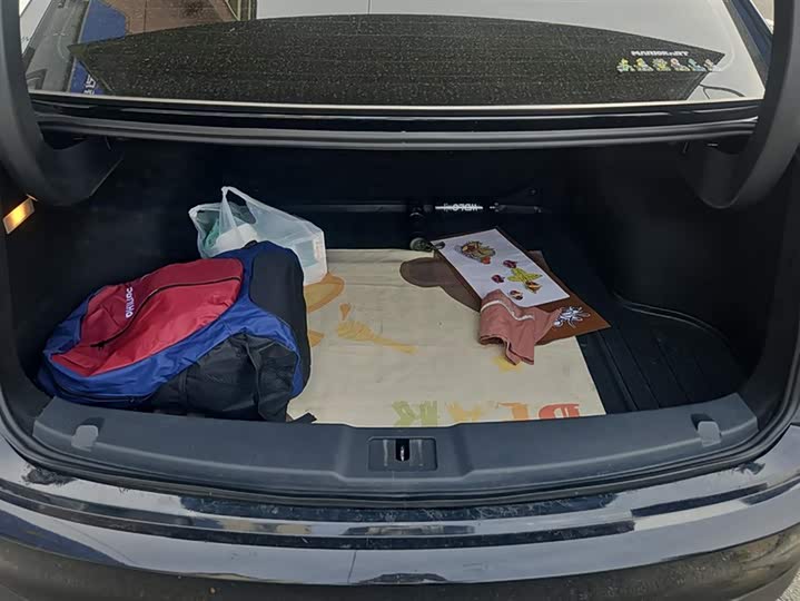 Фото 4 - Hongqi E-QM5