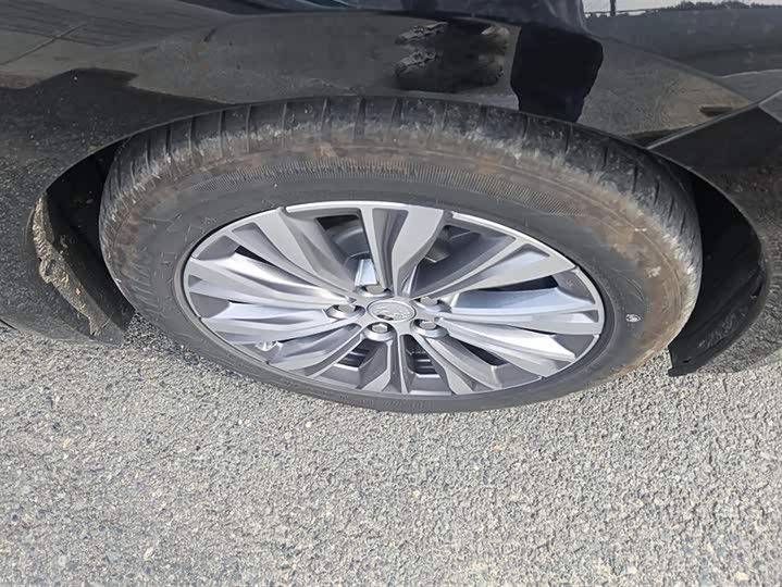 Фото 6 - Hongqi E-QM5