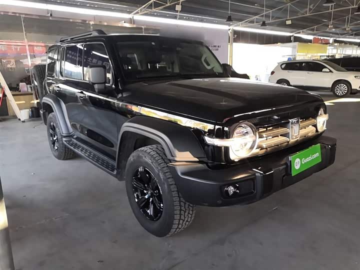 Фото 4 - Tank 300