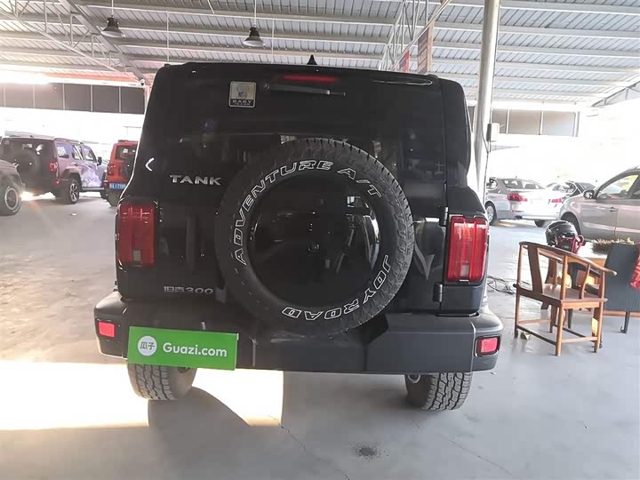 Фото 6 - Tank 300