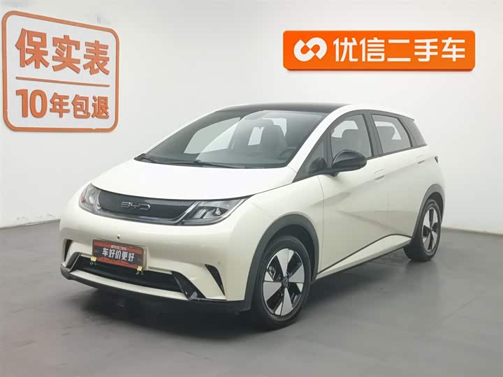 Фото 1 - BYD Dolphin