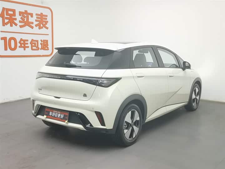 Фото 2 - BYD Dolphin