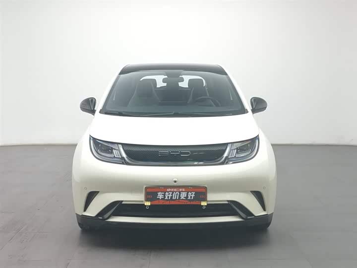 Фото 3 - BYD Dolphin