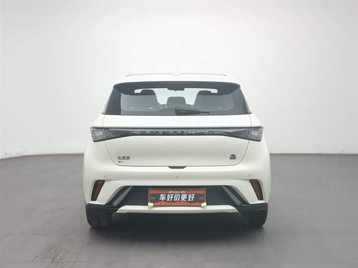 Фото 4 - BYD Dolphin