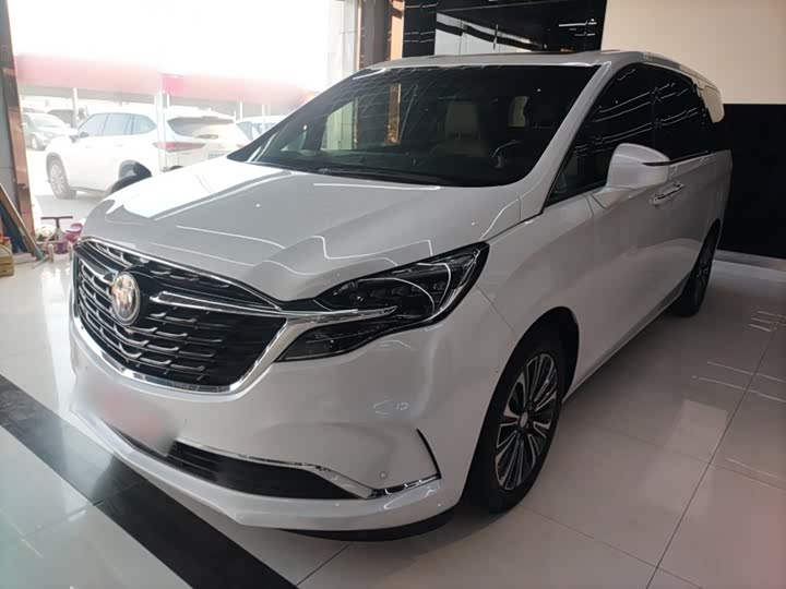 Фото 1 - Buick GL8 ES