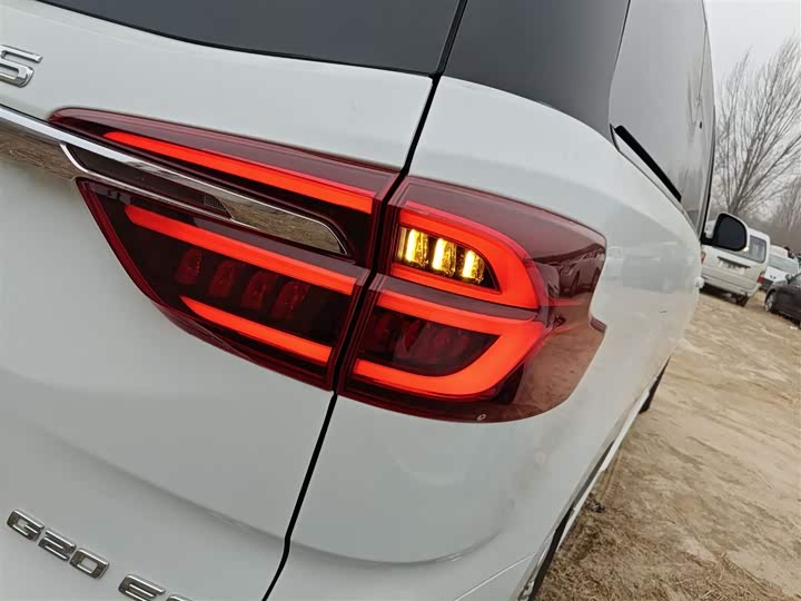 Фото 8 - Maxus G20