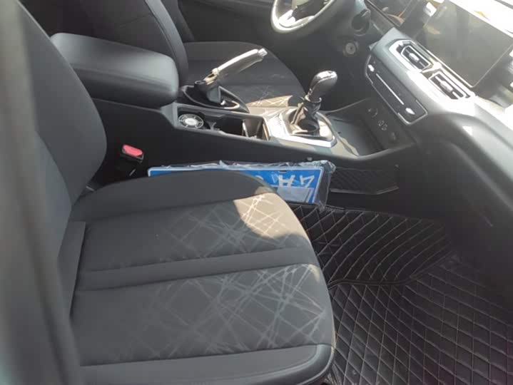 Фото 8 - Great Wall King Kong Poer