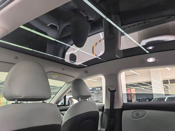 Фото 9 - IM motors LS6