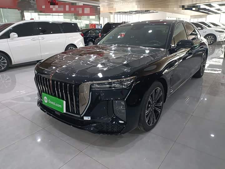 Фото 2 - Hongqi H9