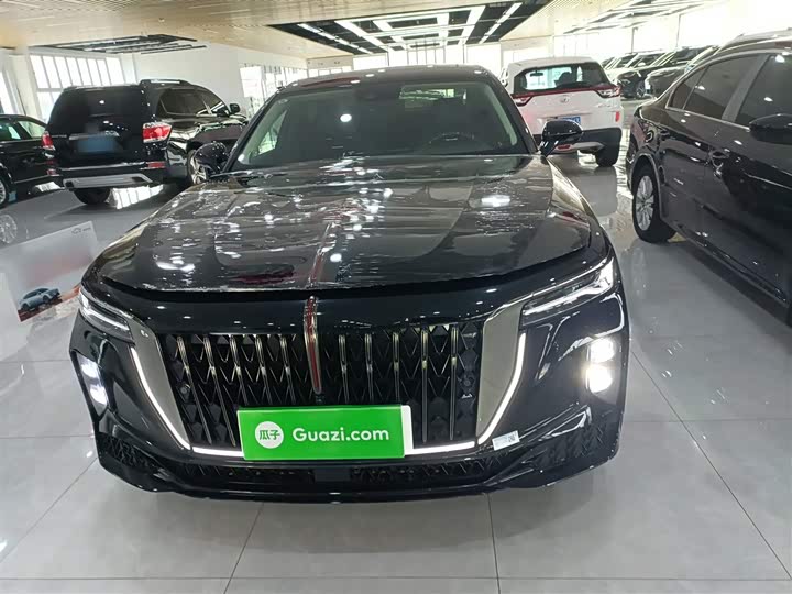 Фото 3 - Hongqi H9