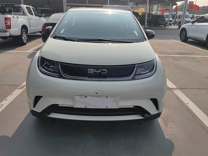 Фото 2 - BYD Dolphin