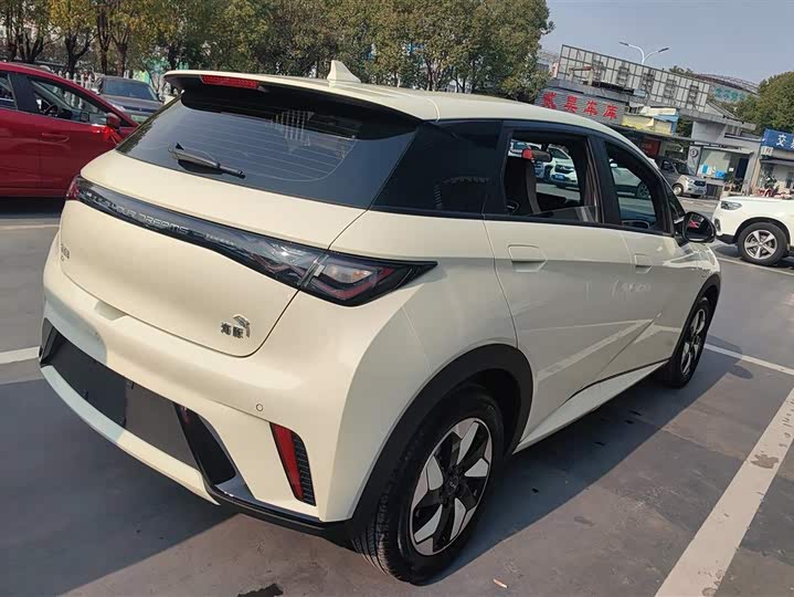 Фото 3 - BYD Dolphin