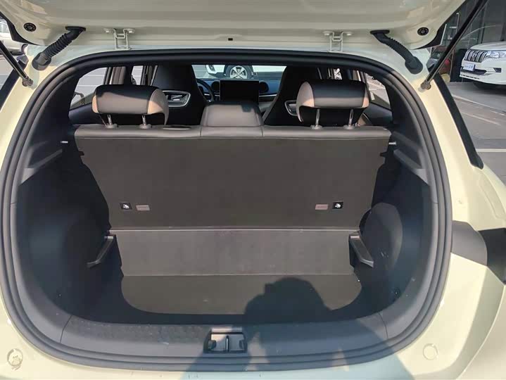 Фото 4 - BYD Dolphin