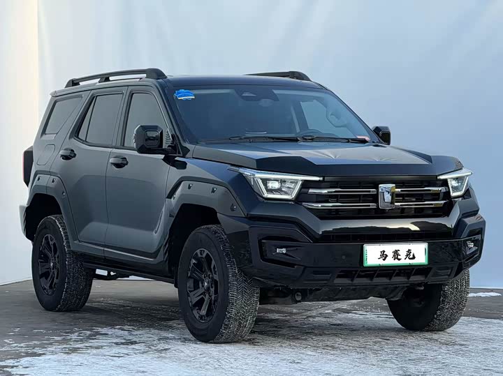 Фото 3 - Tank 400 Hybrid