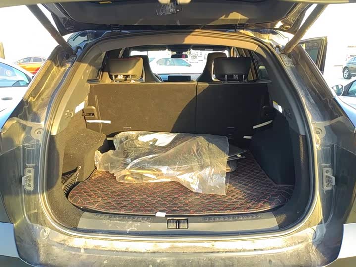 Фото 4 - Jetour Dashing