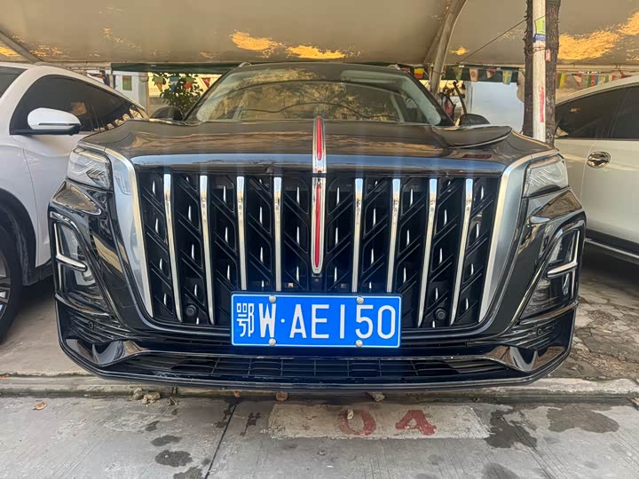 Фото 2 - Hongqi HS5