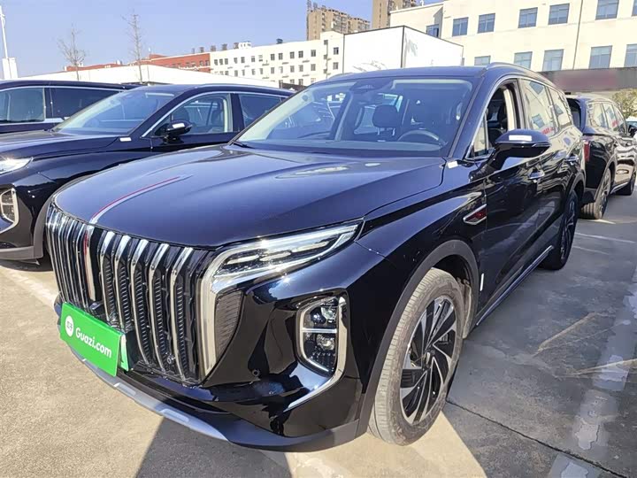 Фото 1 - Hongqi HS7 Hybrid