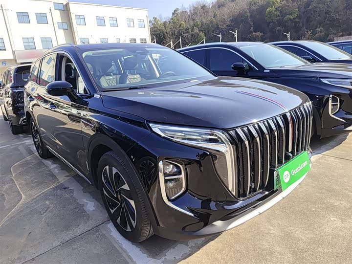 Фото 4 - Hongqi HS7 Hybrid