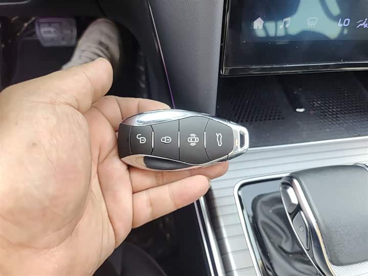 Фото 9 - Hongqi HS7 Hybrid