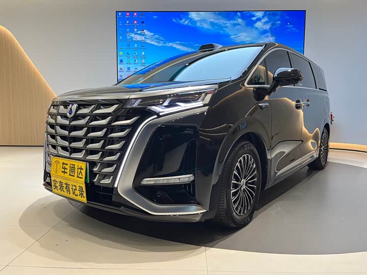 Фото 1 - Denza D9