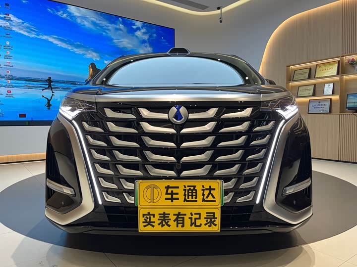 Фото 2 - Denza D9