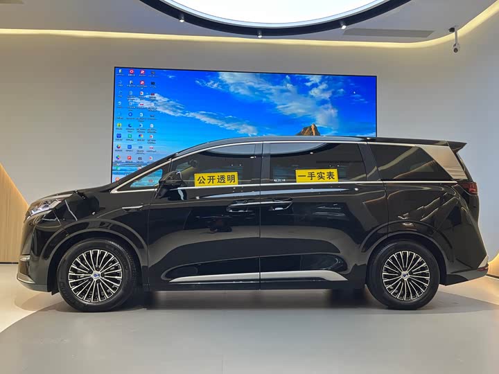 Фото 3 - Denza D9