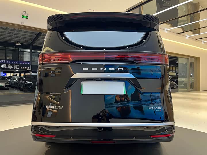 Фото 5 - Denza D9