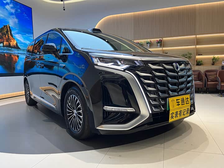 Фото 7 - Denza D9