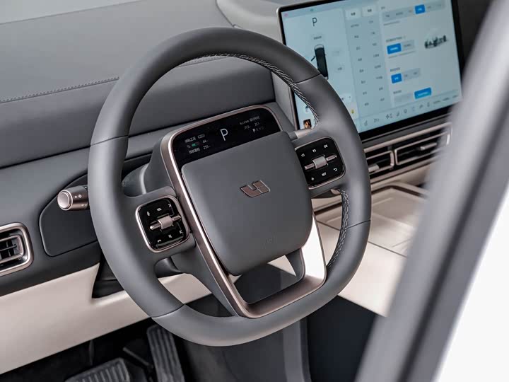 Фото 6 - LiXiang Mega