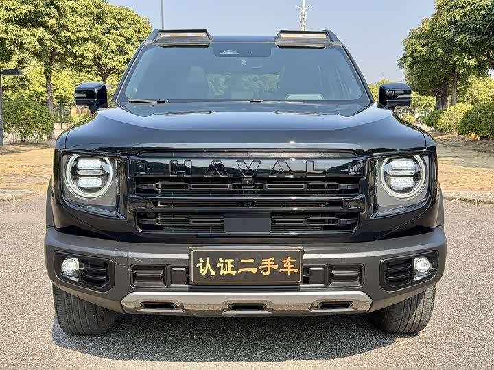 Фото 2 - Haval Dargo