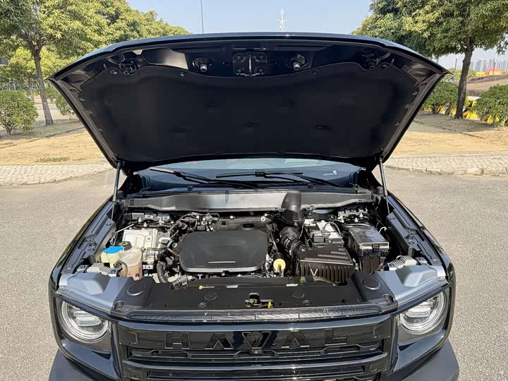 Фото 9 - Haval Dargo