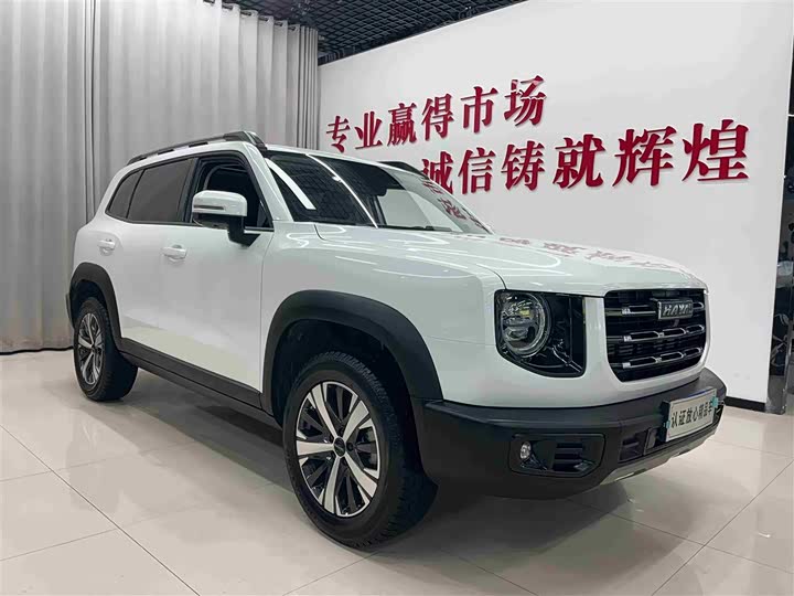 Фото 3 - Haval Dargo