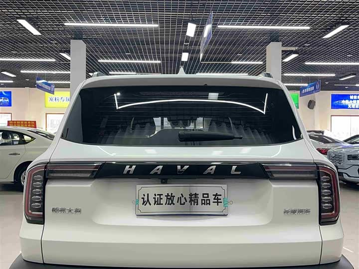 Фото 5 - Haval Dargo