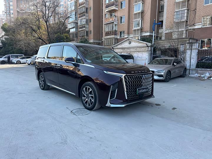 Фото 3 - Maxus Mifa 9