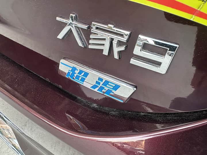 Фото 8 - Maxus Mifa 9