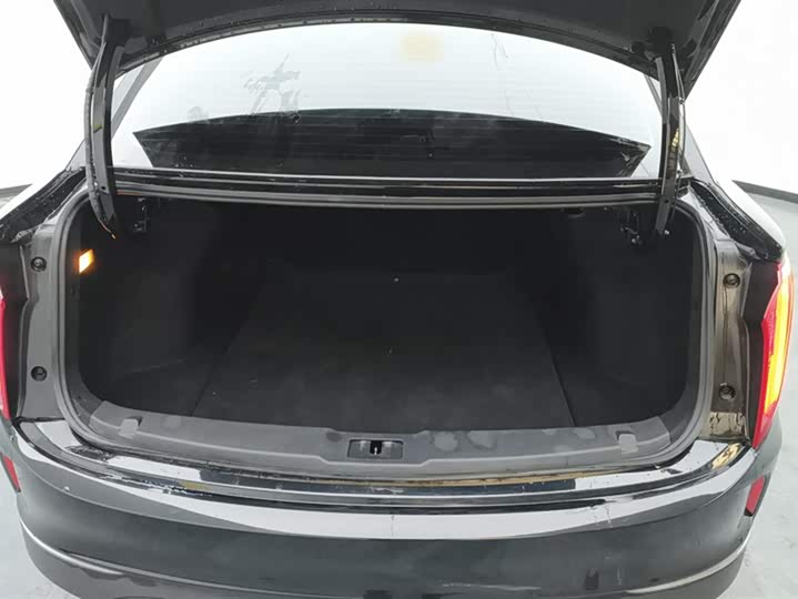 Фото 4 - Hongqi E-QM5