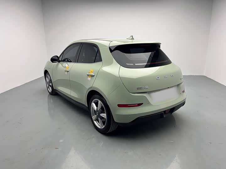 Фото 6 - Ora Good Cat (03)