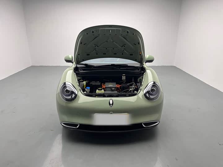 Фото 7 - Ora Good Cat (03)