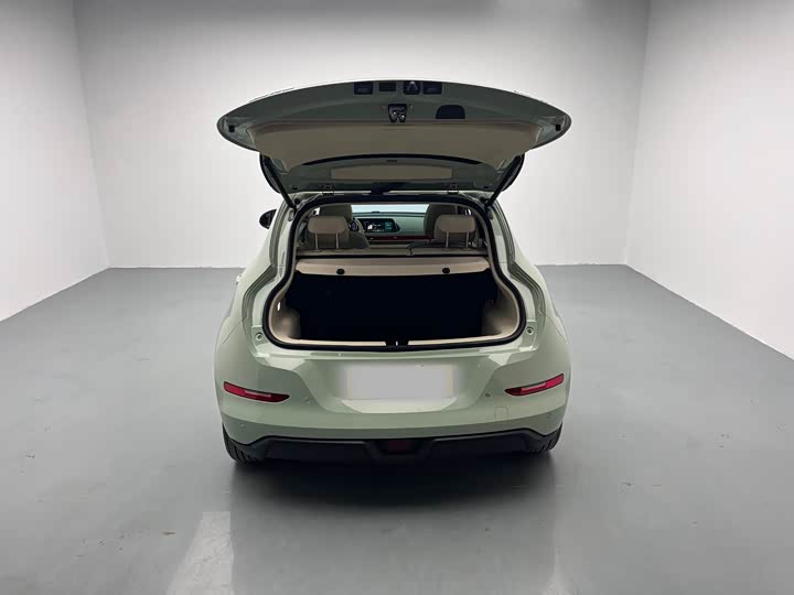 Фото 8 - Ora Good Cat (03)