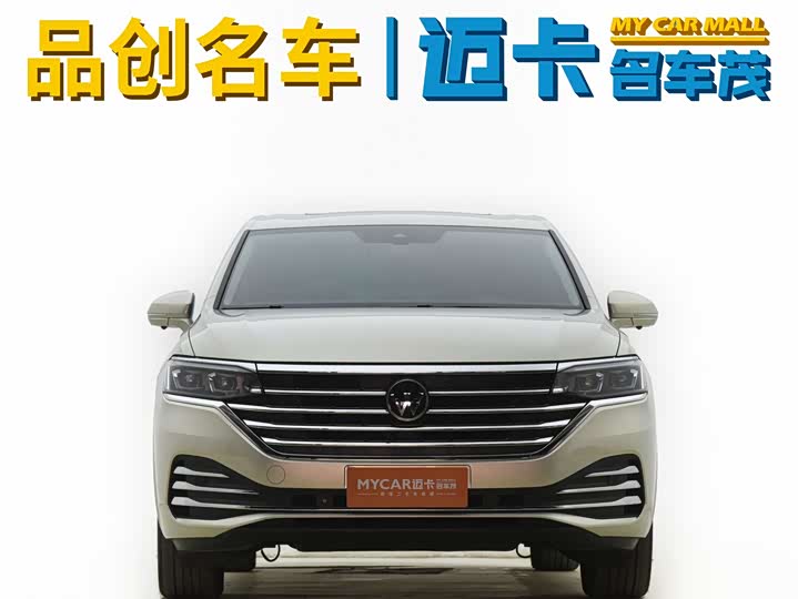 Фото 2 - Volkswagen Viloran