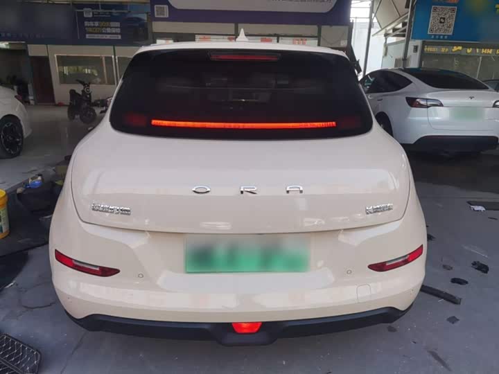 Фото 6 - Ora Good Cat (03)