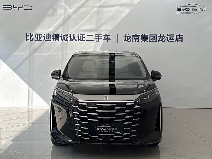 Фото 2 - BYD Xia