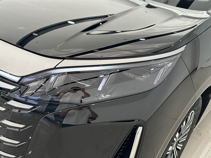 Фото 3 - BYD Xia